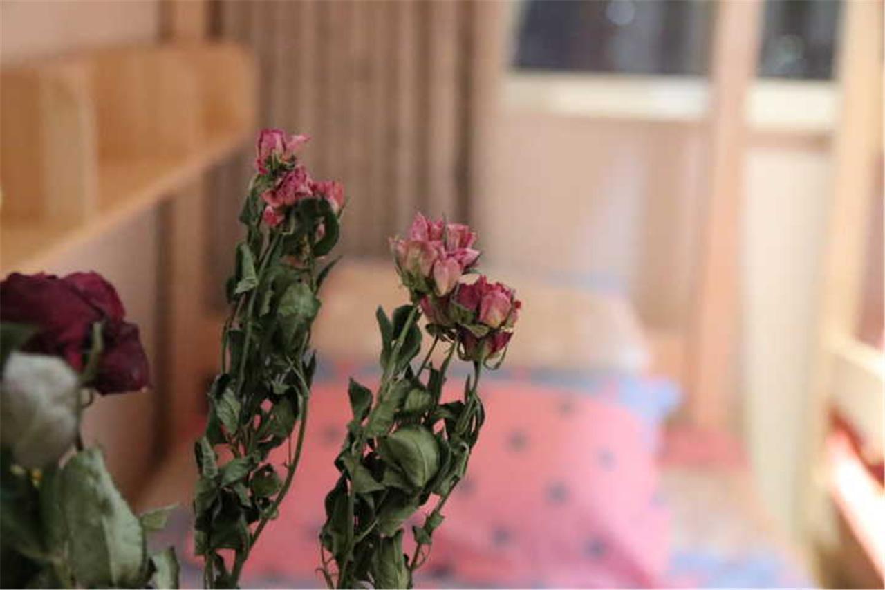 Yantai Music Theme Youth Hostel Buitenkant foto